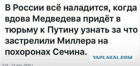 Нельзя оскорблять власть