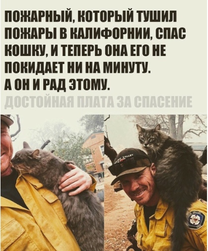 Немного картинок для настроения 07.11.19