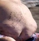 Скотсети и прочие интернеты 06.12.19
