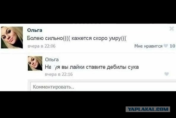 Забавные шутки, картинки и фразы из этих ваших интернетов