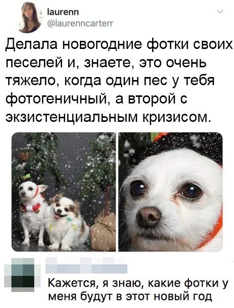 Бредзона 12.12.2019