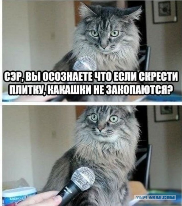 Немного картинок для настроения 25.12.19