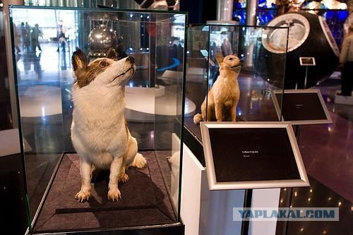 Терешковой припомнили энтузиазм сорокалетней давности. Она уже меняла Конституцию