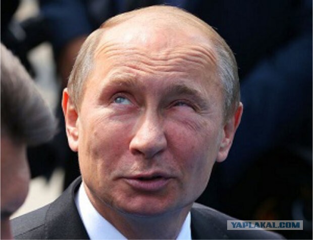 Путина удивил рост цен на бензин
