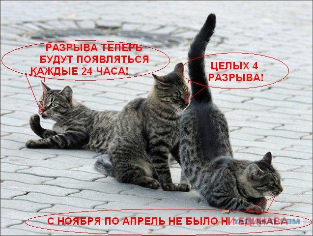 Подпиши фото!