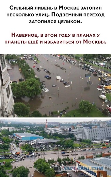 Немного картинок для настроения 20.06.20