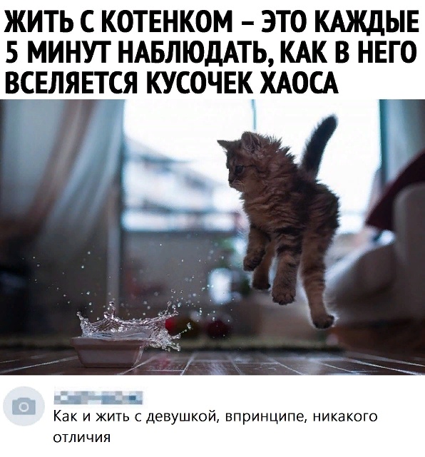Так себе картинки 01.08.20
