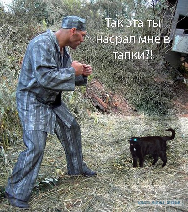 Сказ о том, как Валуев всех побил