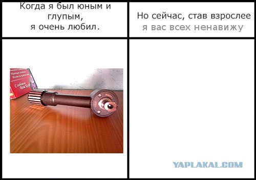 Фотожаба: Когда я был юным и глупым