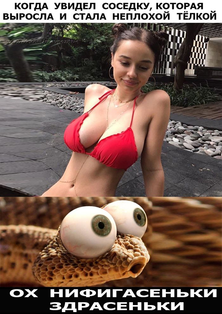 Когда стоит паниковать