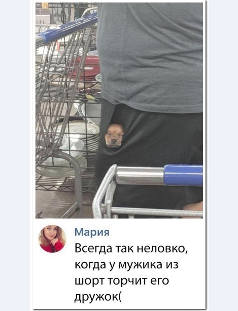 Картинки и мемы для настроения 023