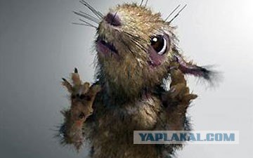 Бесстрашные белки