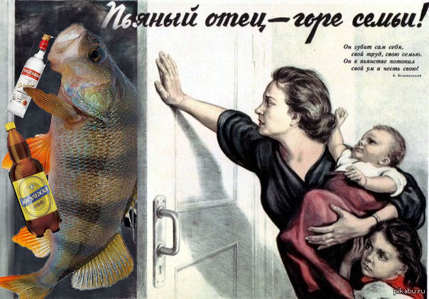 Ёрш: Губит поголовье окуней, но даёт с ними особенное гибридное потомство. На что способен такой гибрид?