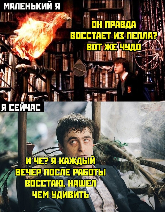 Весёлый полтишок 12.07