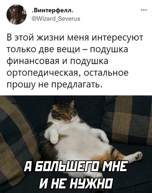 Чуток картинок 16.12.21