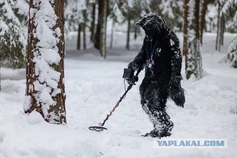 Нелегальное вторжение мигрантов