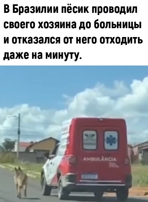 Так себе картинки 08.05.22