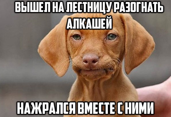 Алкопост 9.09.22