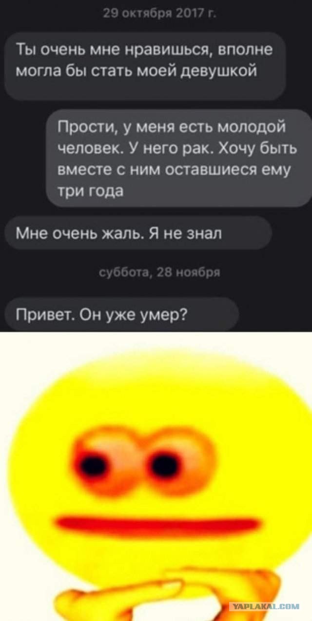 Весёлый полтишок 12.10.22