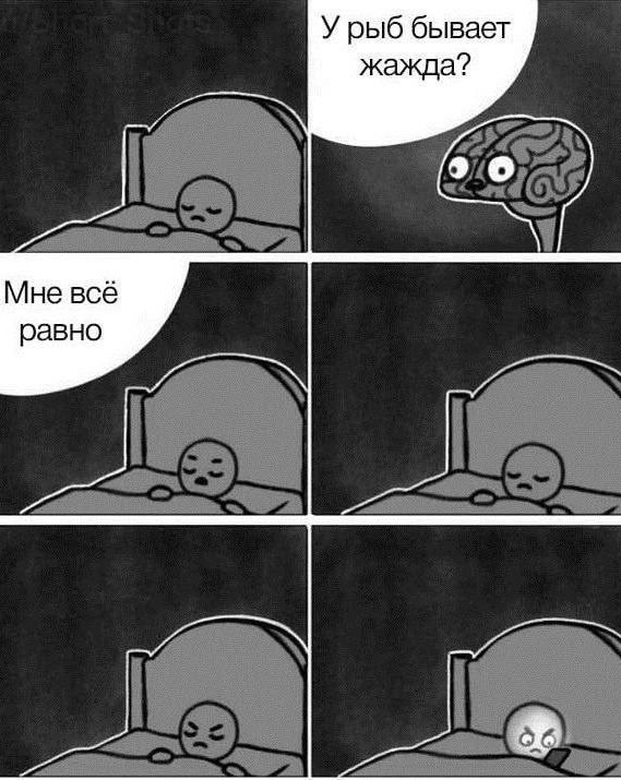 Это значит, что сегодня пятница