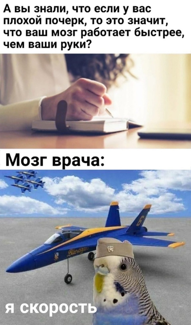 Победная поступь идиотизма по планете – том 6