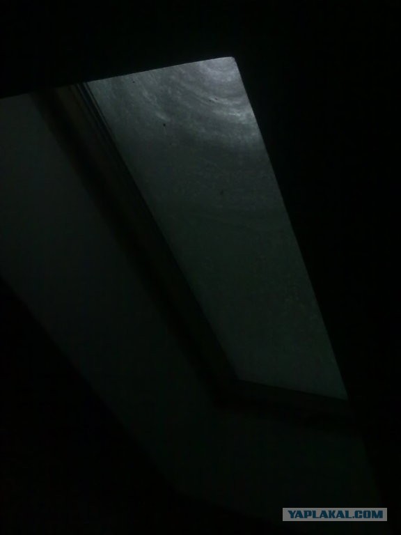 23 марта. Киев. Весна.