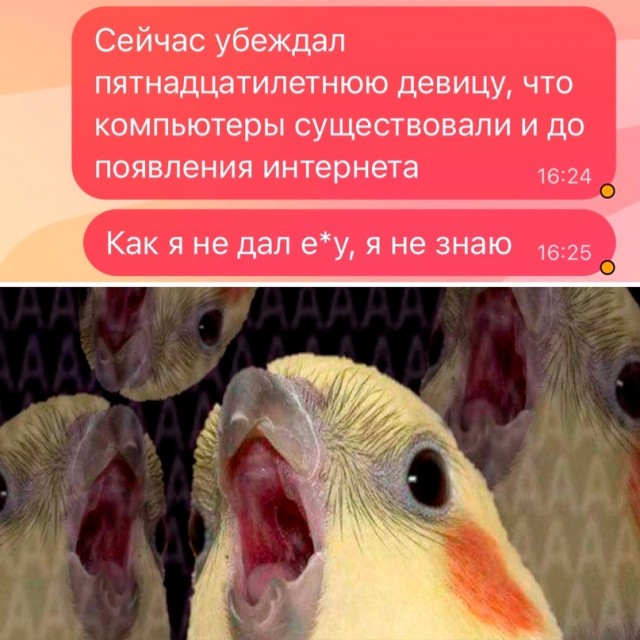 Картинки и мемы, всяко разно - 175