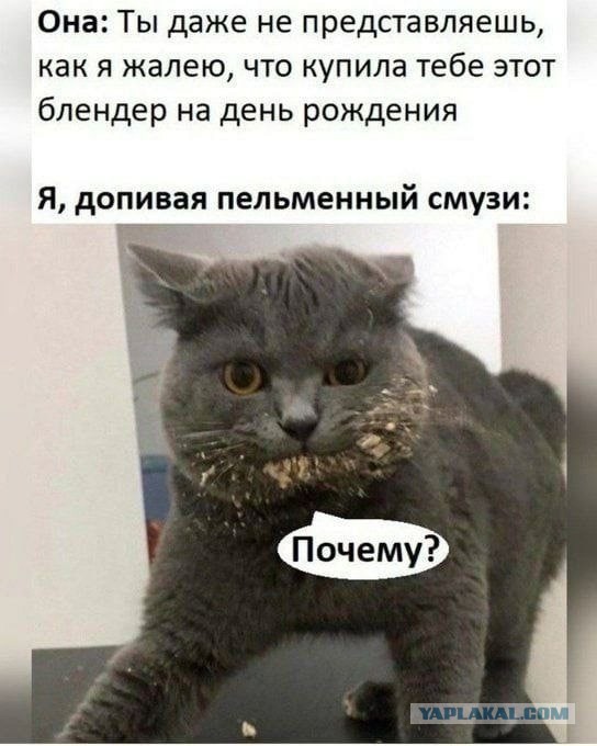 Прикольные и просто красивые картинки 27.06.2023