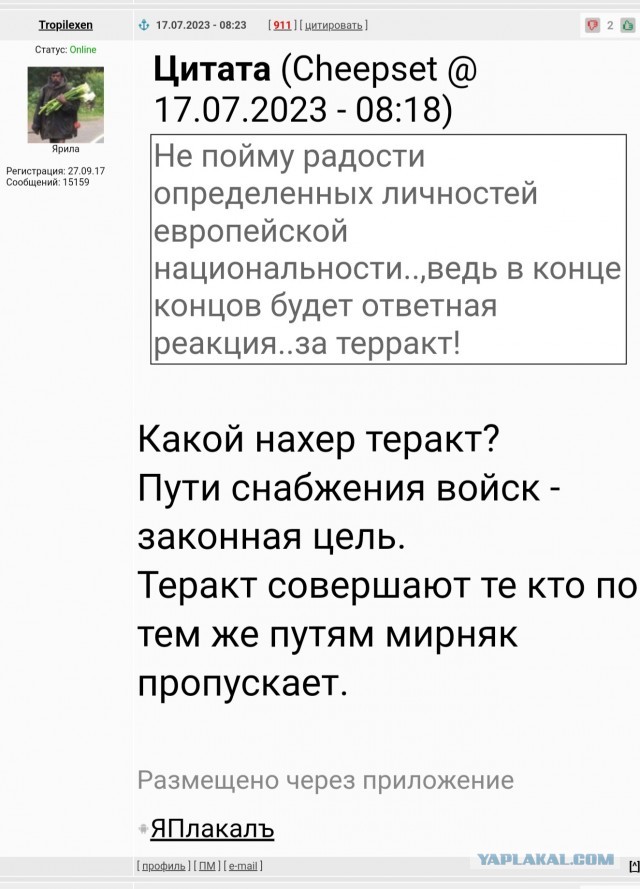 Анкара получила от Киева предложение возобновить зерновую сделку без участия России