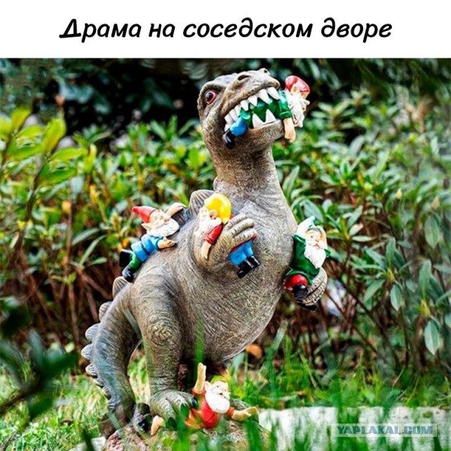 Так себе картинки 28.07.23