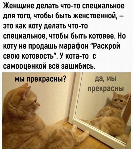 Нуштош 03.08.2023