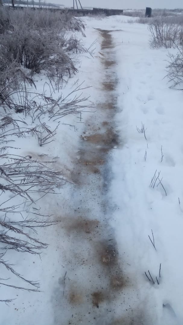 Веселая ферма: зимний нежданчик