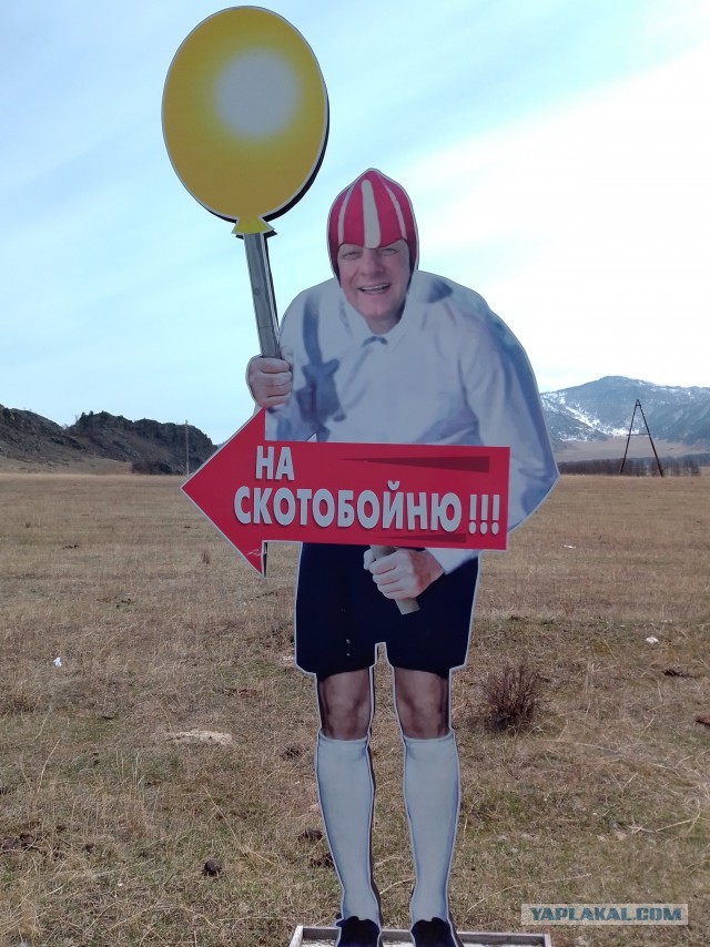 Прилетевшего в Китай Шольца встречал только заместитель мэра города Чунцин
