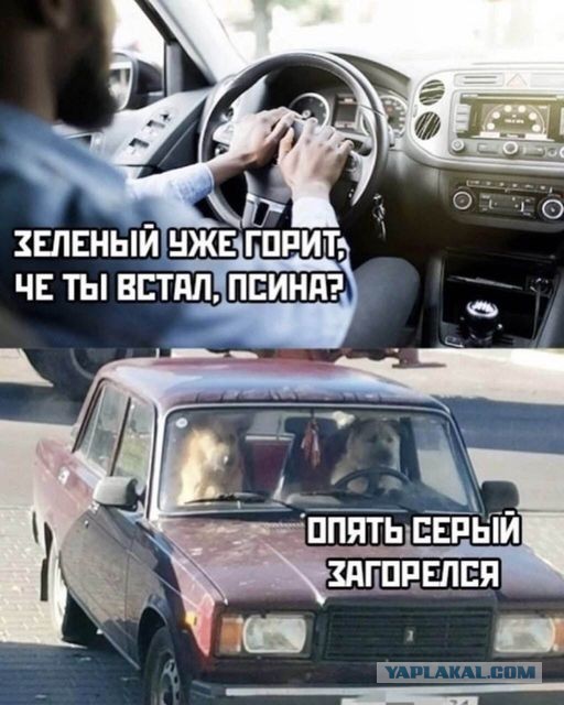 Картинки и буквы 24.06.2024