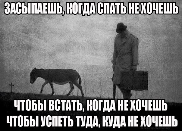 Скатертью скатертью тленный путь стелется...