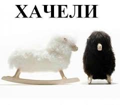 Поможем Рафику