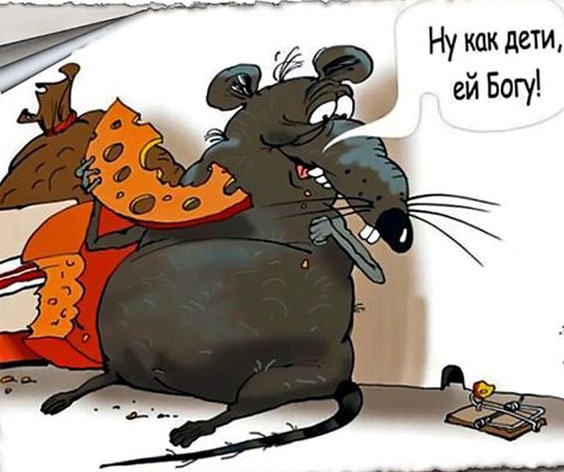 Так себе картинки 23.09.24