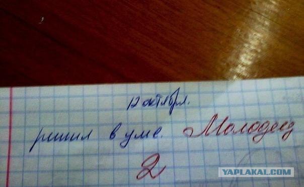 Забавные школьные дневники