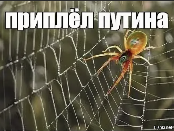 Дети попали под грузовик