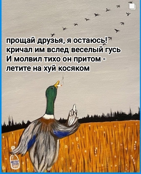 Немного забавных картинок от 13.02.2025