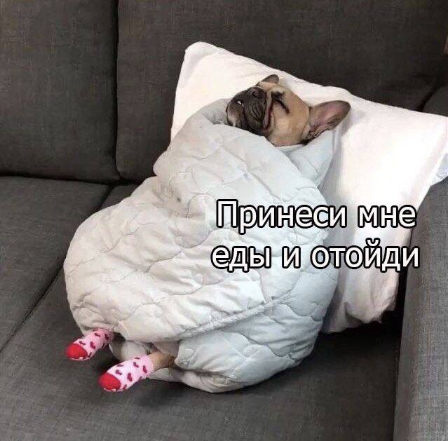 Картинки с надписями