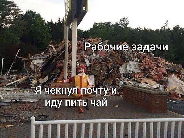 Весёлый полтишок 19.08.25