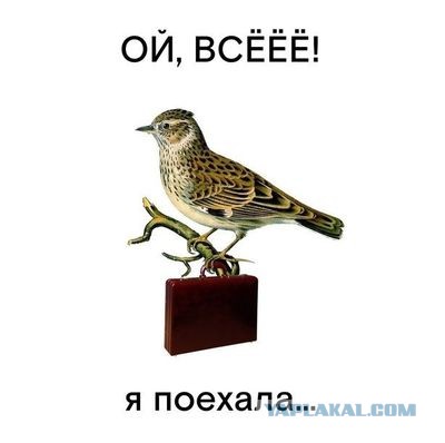 Стало известно о новом имени Поклонской