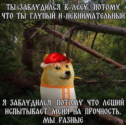 Отличного дня!