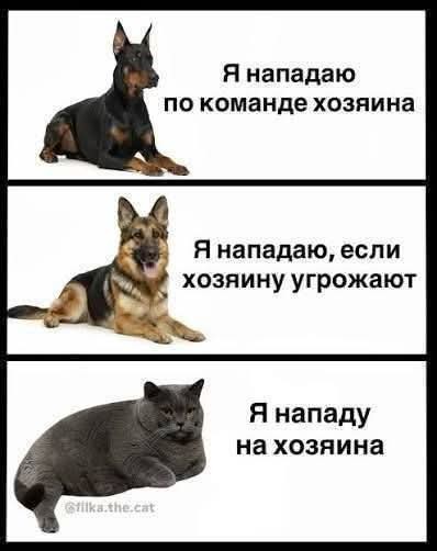 Воскресные картинки