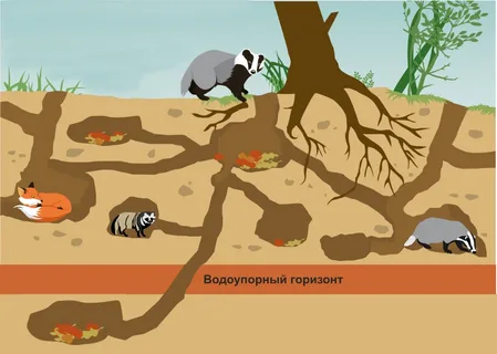 Хорошо, когда рядом классные соседи живут