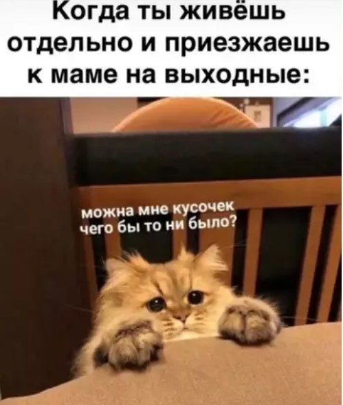 Картиночки, баянчики 16 марта