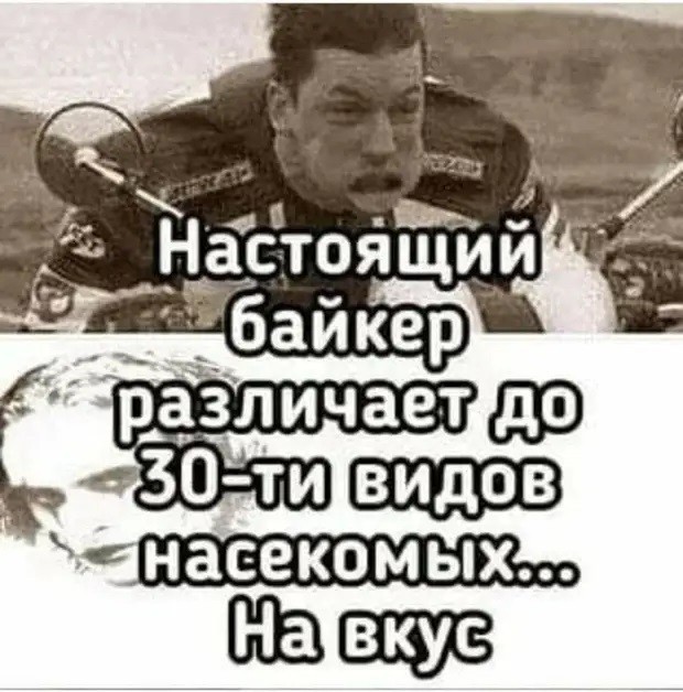 Картинки для деградации 236 (разной степени свежести)