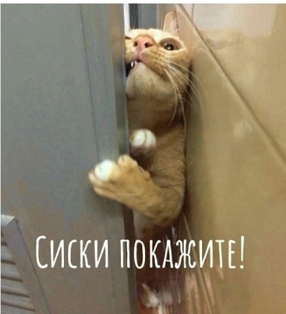 Неофициальные законы ЯПлакалЪ. Я врубил эксперта нах
