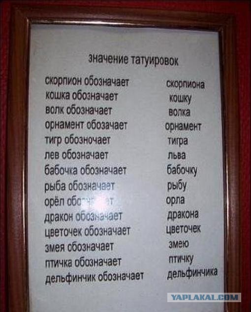 Все что угодно